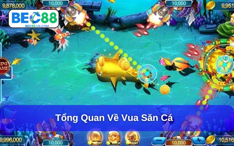 Vua Săn Cá và những điều bạn cần biết Vua Săn Cá và những điều bạn cần biết